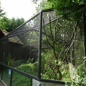 Helsingborg Djurpark - Parrot aviary #10
