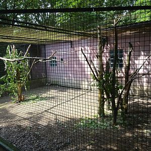 Helsingborg Djurpark - Parrot aviary #11