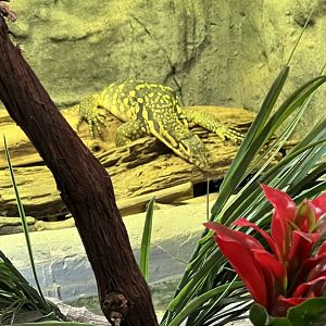Sulfur Water Monitor