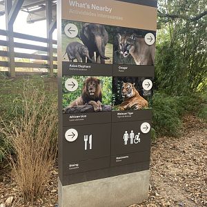 New Directional Sign- Elephants/Big Cats