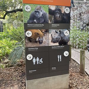 New Directional Sign- African Forest