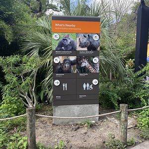 New Directional Sign- African Forest