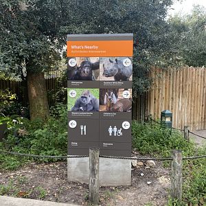 New Directional Sign- African Forest