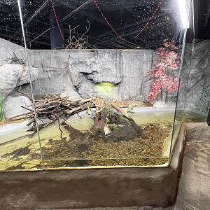 Map/Painted Turtle Exhibit