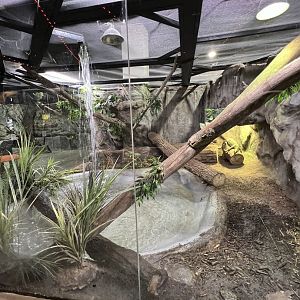 Nile Monitor Exhibit