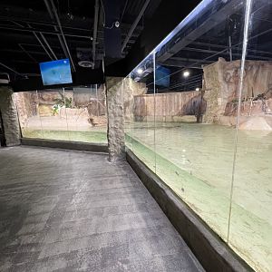 Nile Crocodile Exhibit