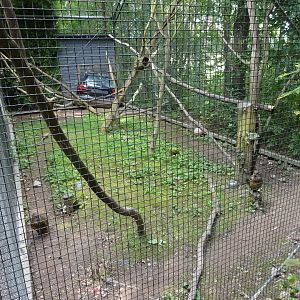 Helsingborg Djurpark - Parrot aviary #13