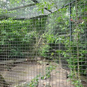 Helsingborg Djurpark - North America aviary