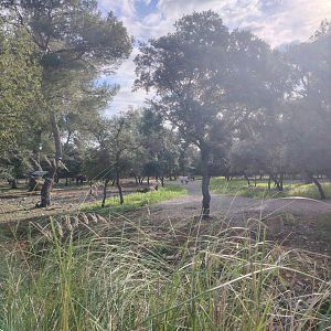 Nile Lechwe (Kobus megaceros) & Arabian Oryx (Oryx leucoryx) Exhibit