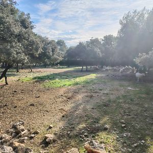 Former African Exhibit