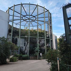 Scarlet Ibis (Eudocimus ruber) Aviary