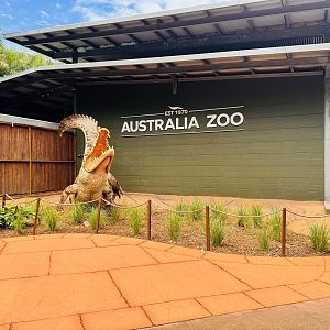 New Crocodile Statue