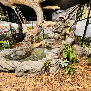Anaconda enclosure