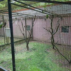 Helsingborg Djurpark - Parrot aviary #18