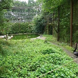 Helsingborg Djurpark - Walkthrough aviary (wetlands)