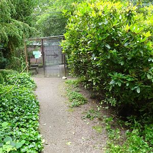 Helsingborg Djurpark - Walkthrough aviary (wetlands)