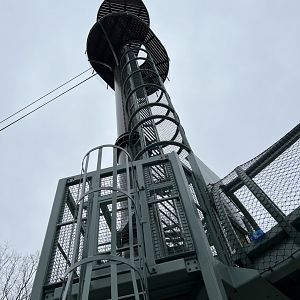 Orangutan Climbing Tower