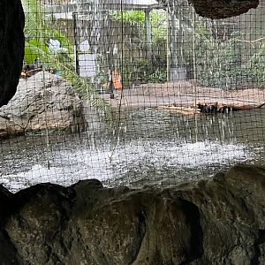 Indo-Malayan Waterfall