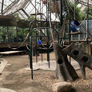 Sumatran Orangutan Exhibit