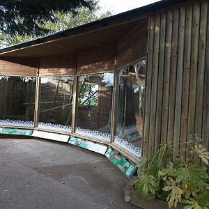 Squirrel Monkey/Armadillo new enclosure.