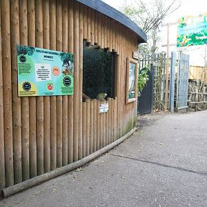 Squirrel Monkey enclosure (House)