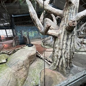 Aldabra Tortoise/Ring-Tailed Lemur/West African Crowned Crane Exhibit