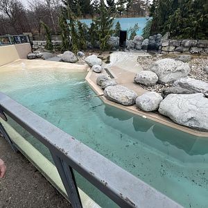 African Penguin Outdoor Exhibit