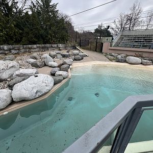 African Penguin Outdoor Exhibit