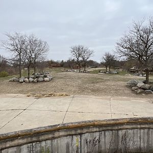 White Rhinoceros Exhibit