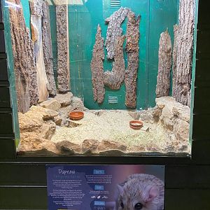 Duprasi signage, Beale Park, UK