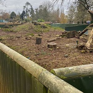 Prairie dog enclosure, Beale Park, UK