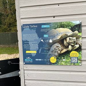 Sulcata tortoise signage, Beale Park, UK