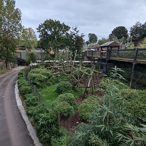 Crowned Lemur Enclosure