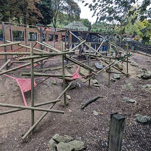 Gelada Enclosure
