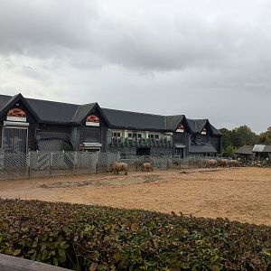 Kingdom of the Wild Building