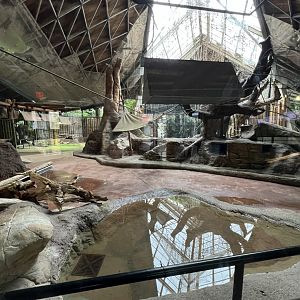 Aldabra Tortoise/Ring-Tailed Lemur/West African Crowned Crane Exhibit