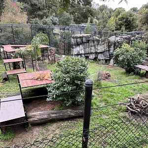 Oakland Zoo tiger enclosure