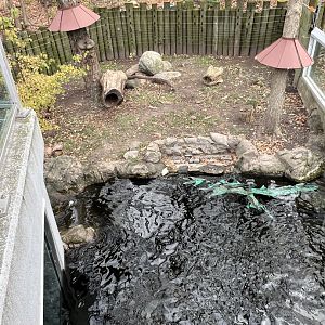 North American River Otter Exhibit