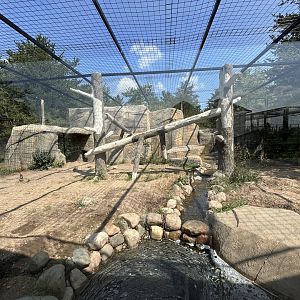 snow leopard enclosure