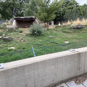 painted dog enclosure