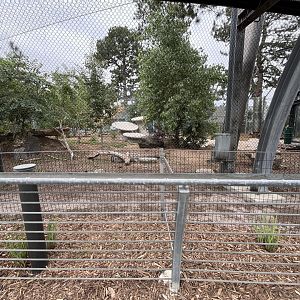 Denver Zoo Tiger Enclosure
