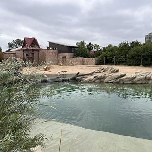 part of elephant complex