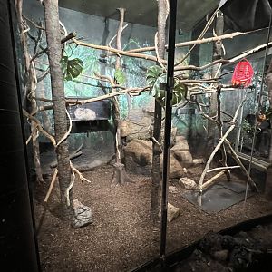 Golden Lion Tamarin/Two-Toed Sloth Exhibit 1