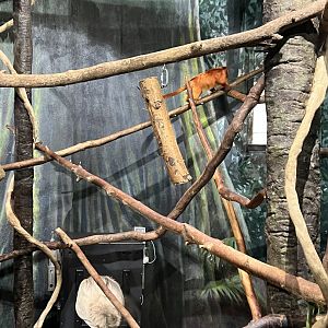 Apathy Towards the Plights of Others