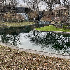 Capybara/Green-Winged Macaw Exhibit