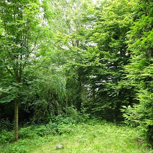 Helsingborg Djurpark - Coati exhibit