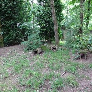 Helsingborg Djurpark - Skunk exhibit