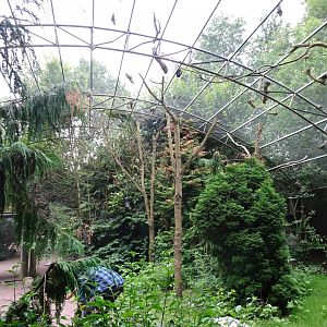 Helsingborg Djurpark - Walkthrough aviary (forest)