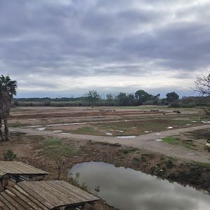 The largest African plain in France ! ...