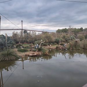 African Aviary (specie list in comment)